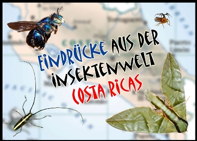 Vortragsbild